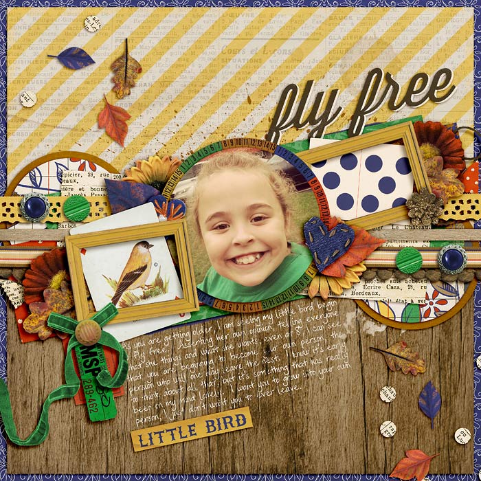 flyfree2
