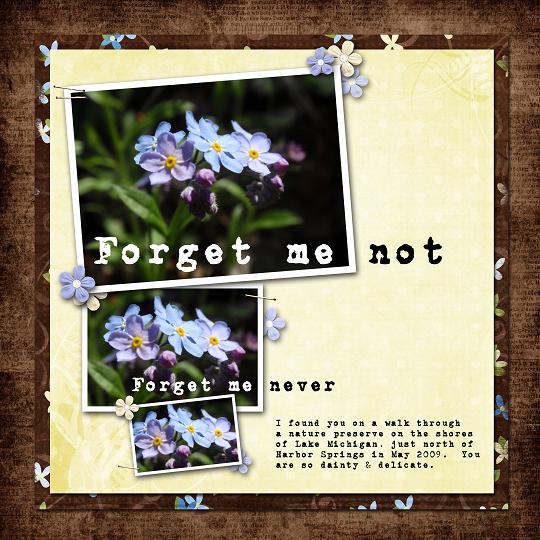 forgetmenot_small