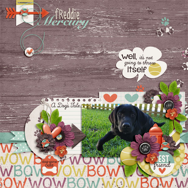 freddie_web