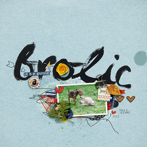 frolic-copy