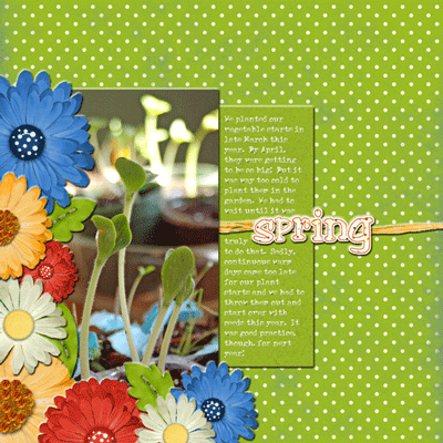 garden-starts-web