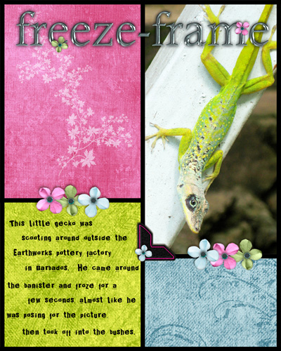 gecko