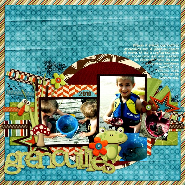 grenouilles2
