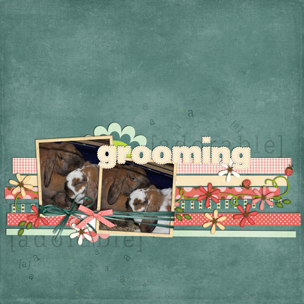 grooming_forweb