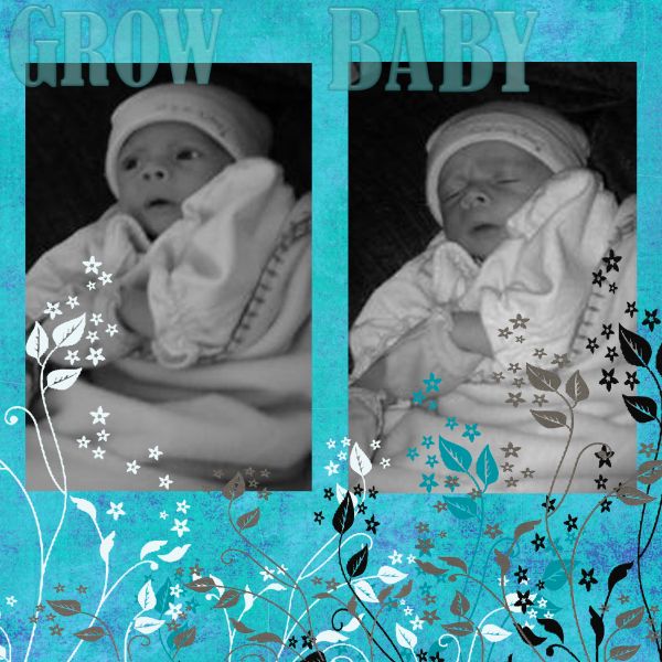 grow_baby_web