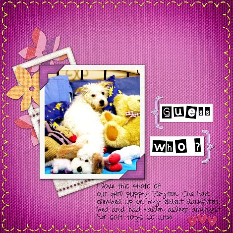 guesswho_resized