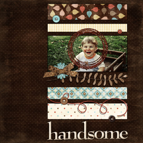 handsomeweb