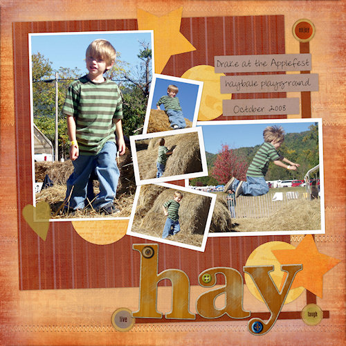 haybale081