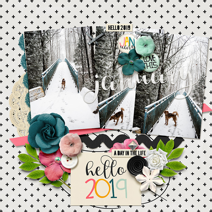 hello2019-copy
