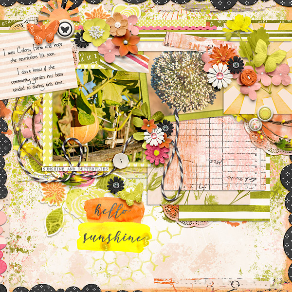 hellosunshine-copy2