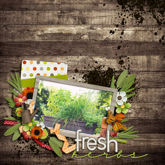 herbs_web