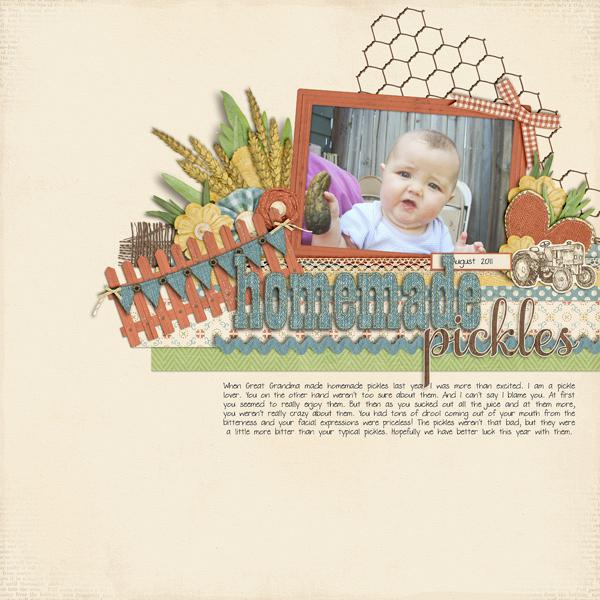 homemade-pickles_web