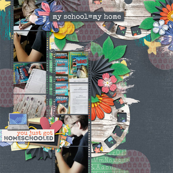 homeschool4