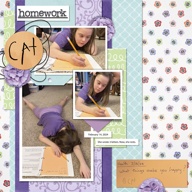 homework_ssd_black_sheep