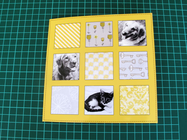 hybridcard_klaudia_psiny_01_small