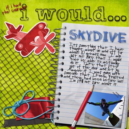 i-would