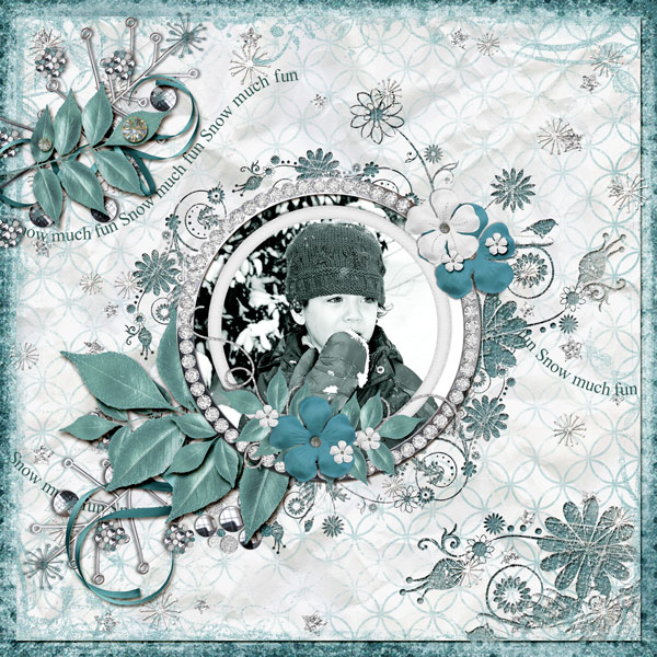 icestorm-122208