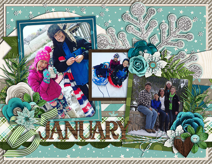januaryweb2