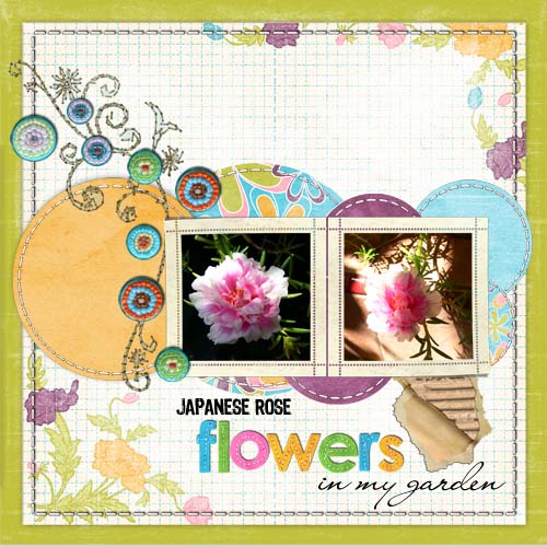 japanese_rose