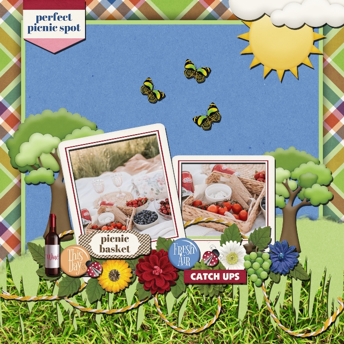 jcd-picnicgettogethersmall