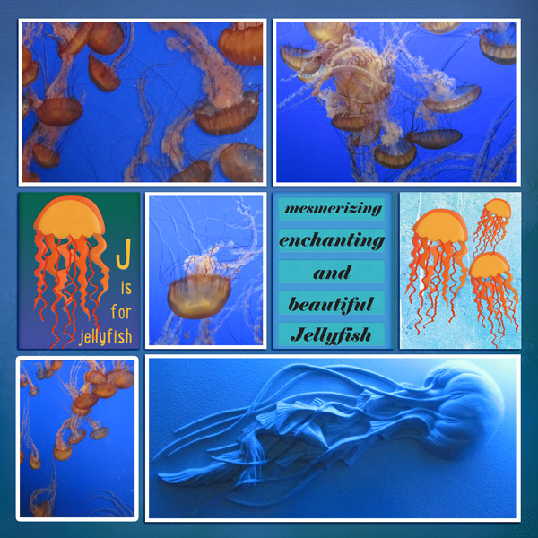 jellies