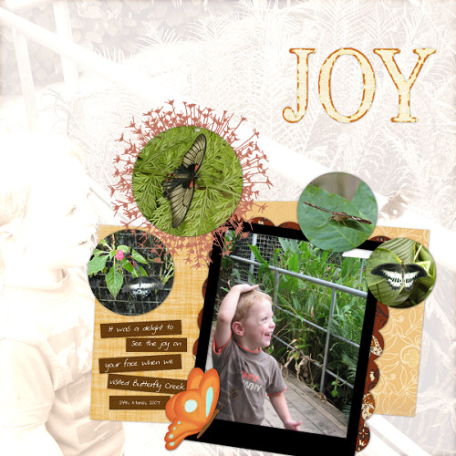 joy_SSD