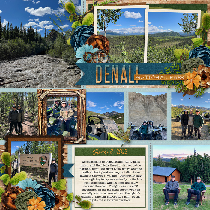 june8denaliweb