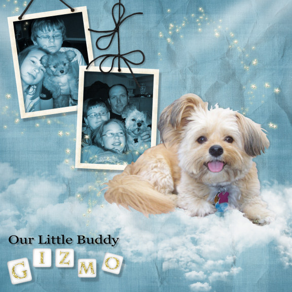 kbk_littlebuddy_Gizmo
