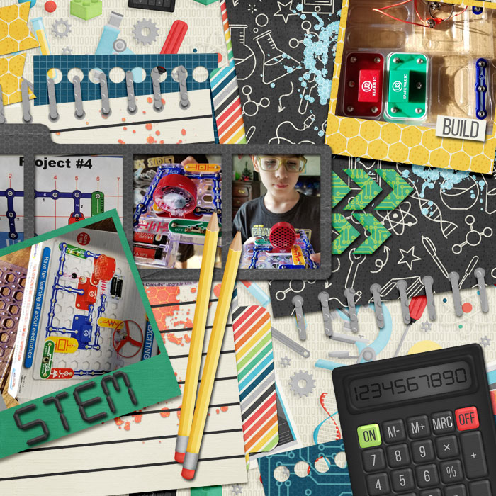 kds_desktop_flergs-STEM