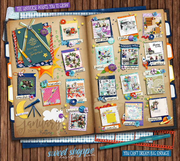 kelley-january-2019-passport-ssd