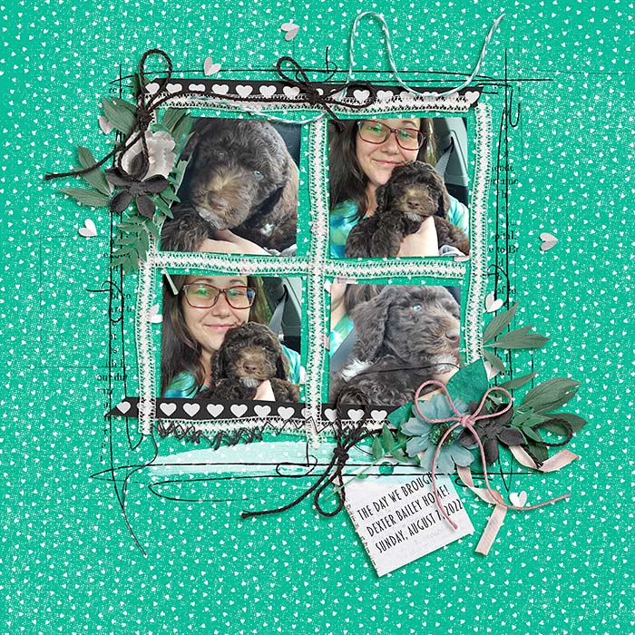 kelley_ssd_january_3b_boxed_in