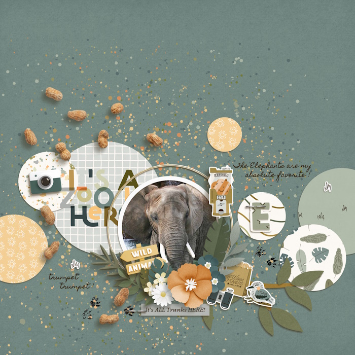ki_atthezoo_example_kris_layout