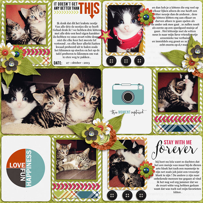 kittens2_-_small