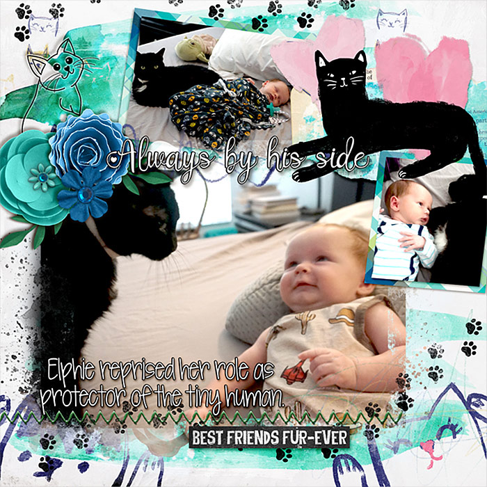 kitty-protector-f