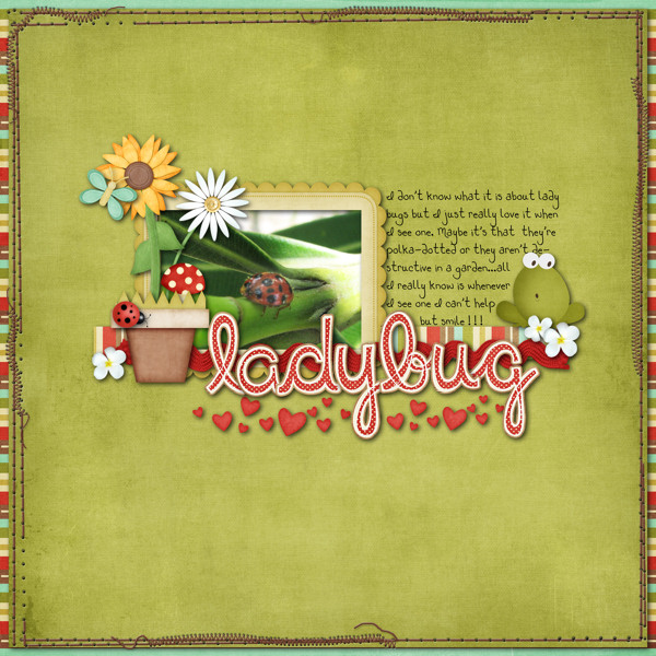 ladybug1