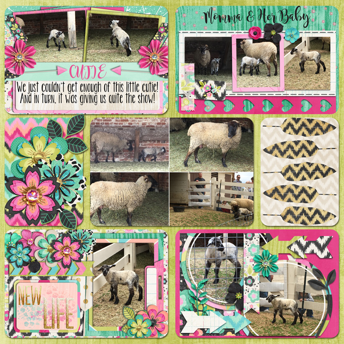 lambs-2