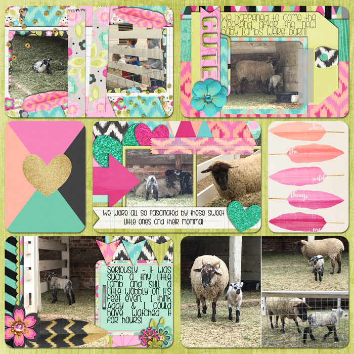 lambs