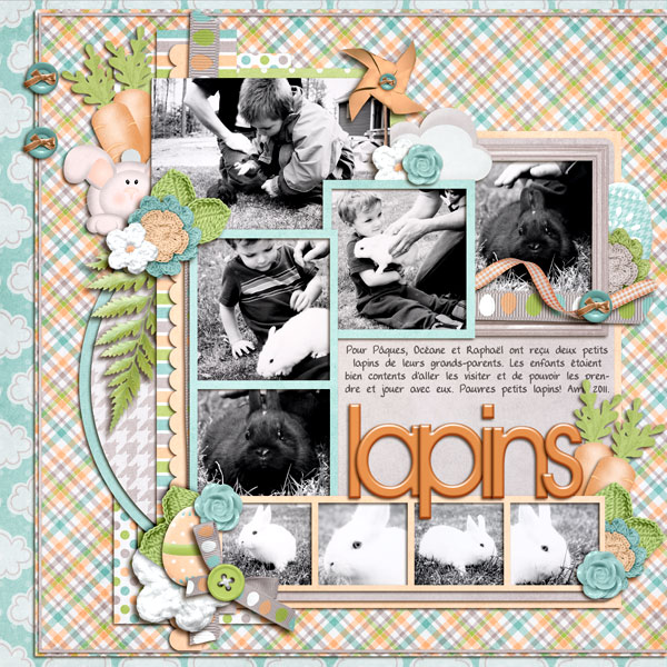 lapins2