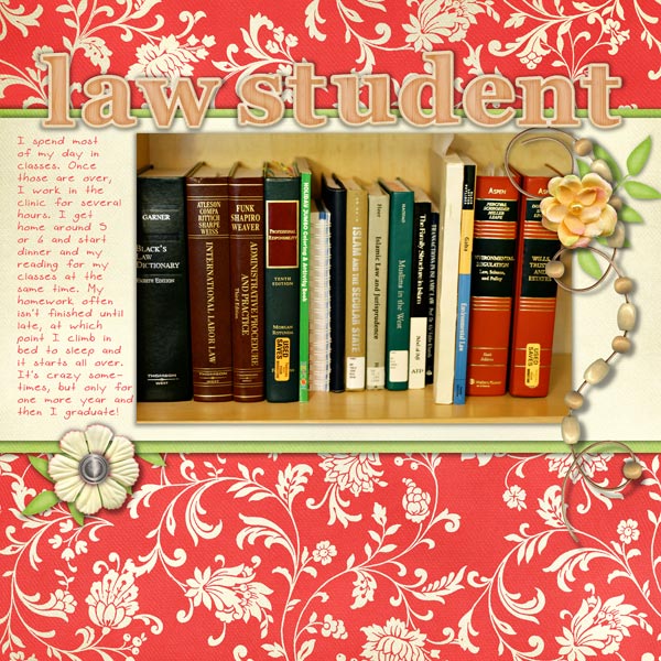 lawstudent_web