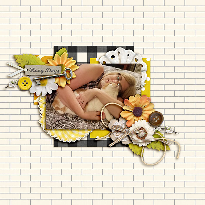 lazydays1