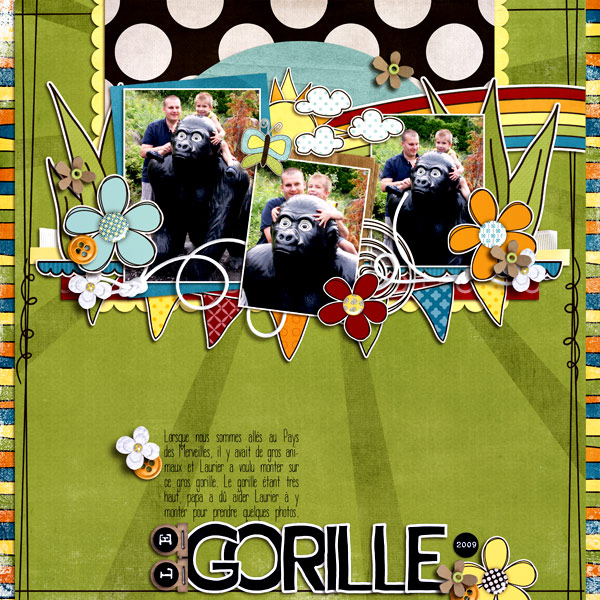 le-gorille2