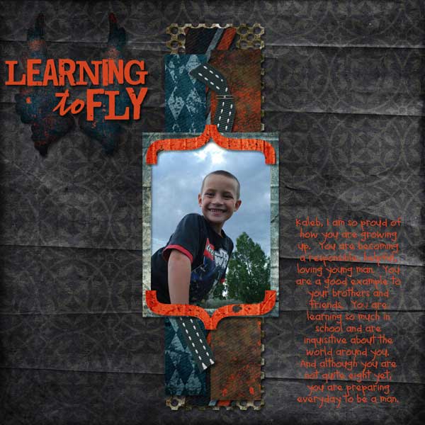 learning-to-fly-wr