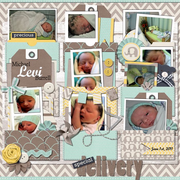 levipage