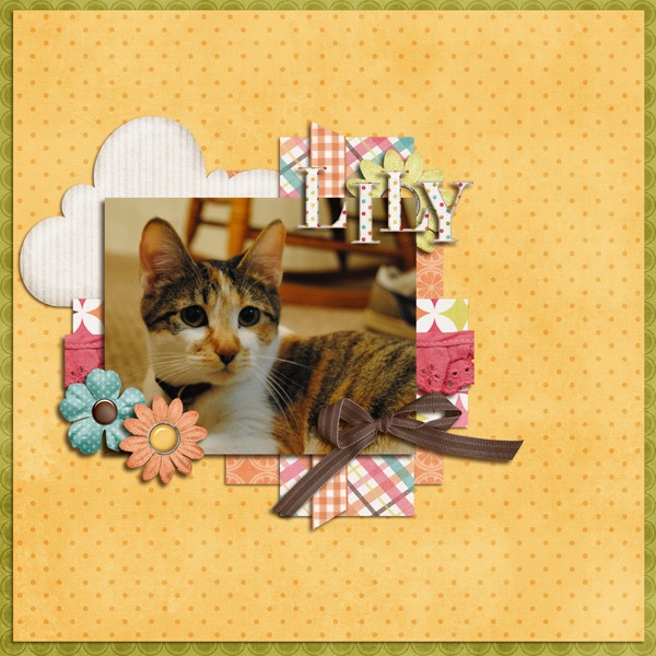 lily6