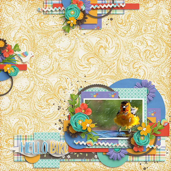 little-bird-_-cluster-and-colors-apple-pie-700