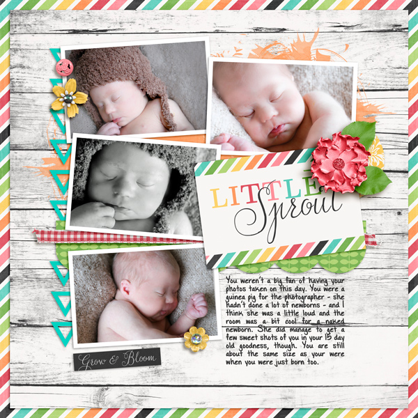 little-sprout2