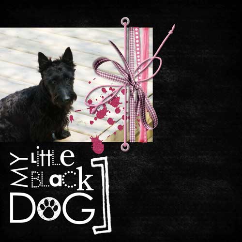 littleblackdogweb