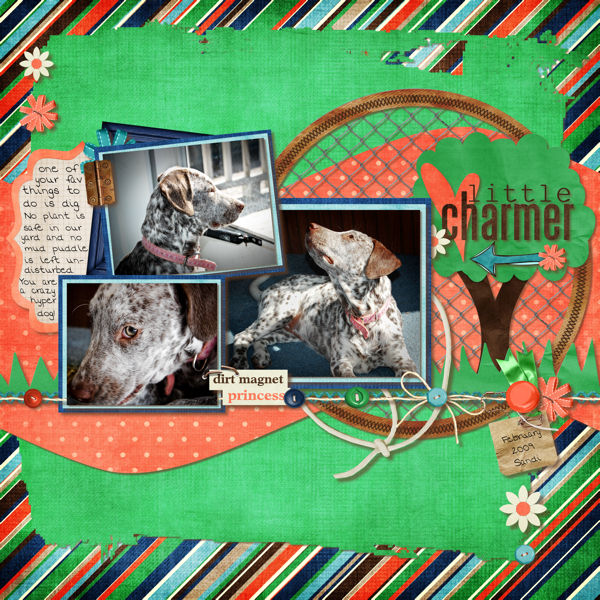 littlecharmer_djbbrandyw_web