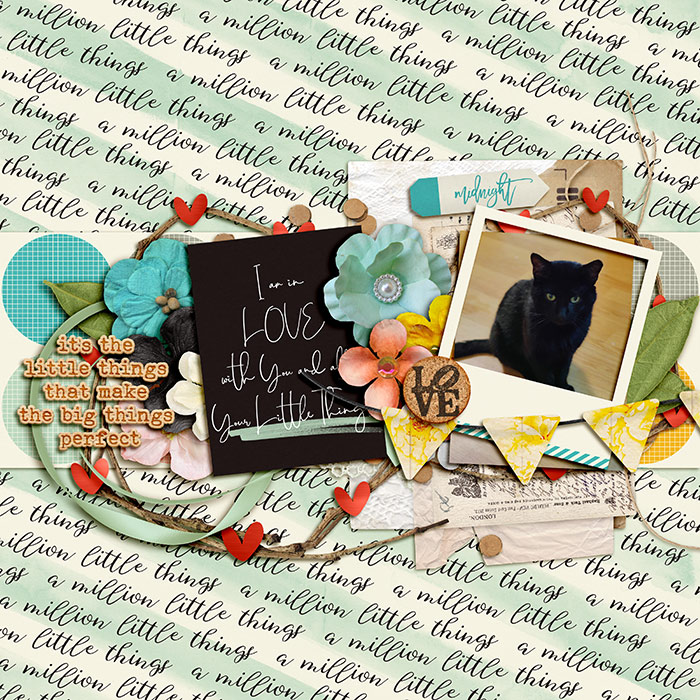 littlethings7