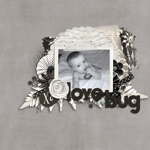 lovebugsm